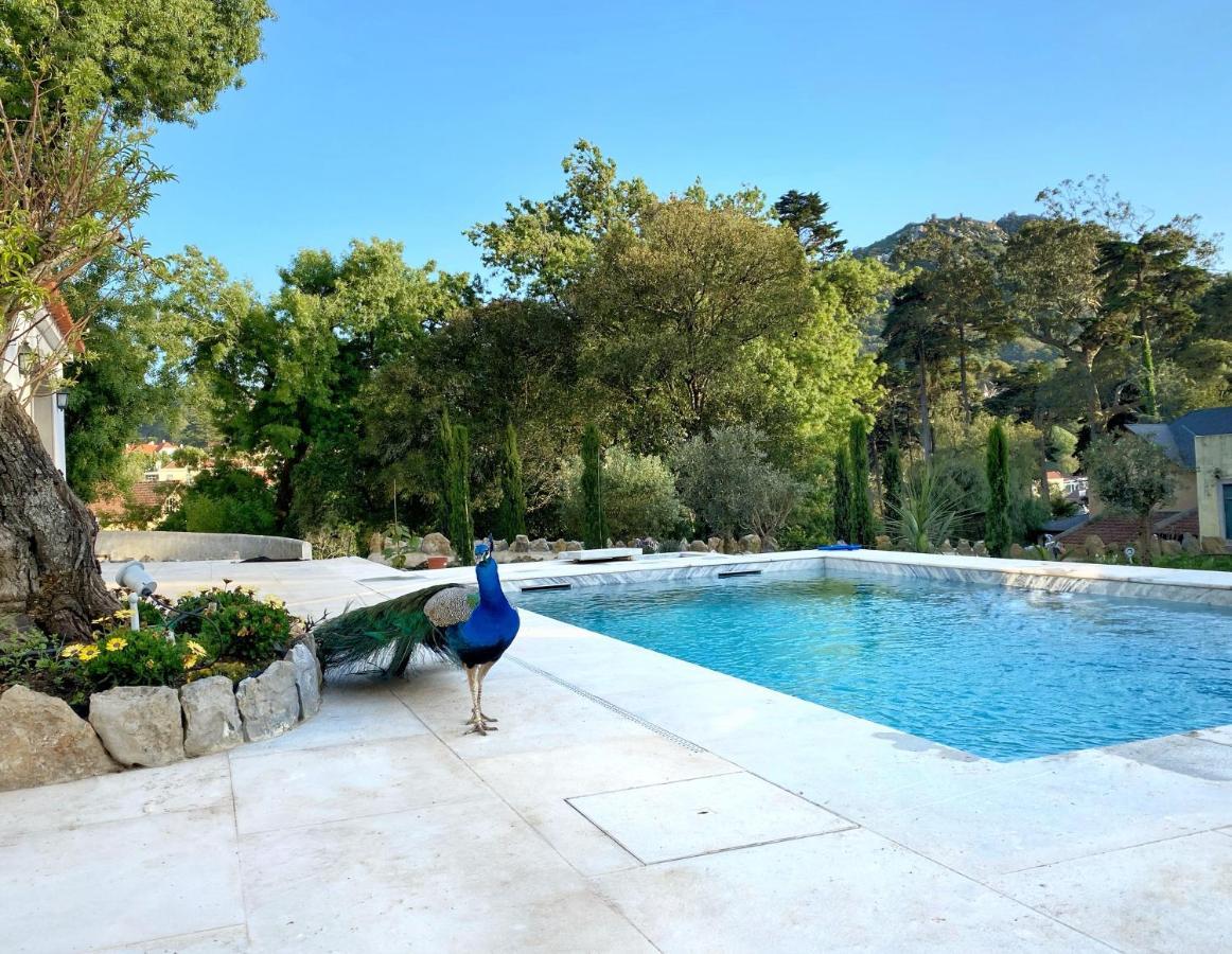 A Capela - A Essencia De Sintra Villa Eksteriør billede