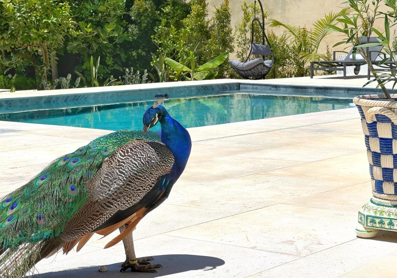 A Capela - A Essencia De Sintra Villa Eksteriør billede